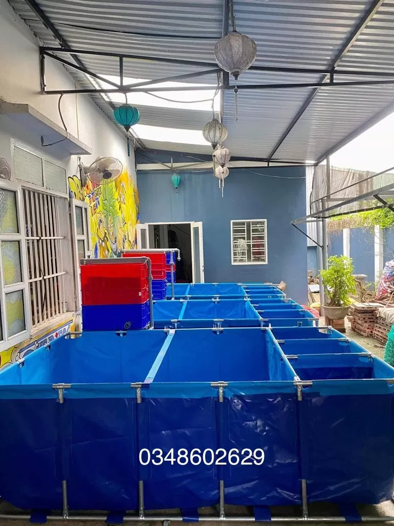 Mai Sơn Best Pools – Nhà hơi Lâu Đài, Đồ Chơi Bơm hơi