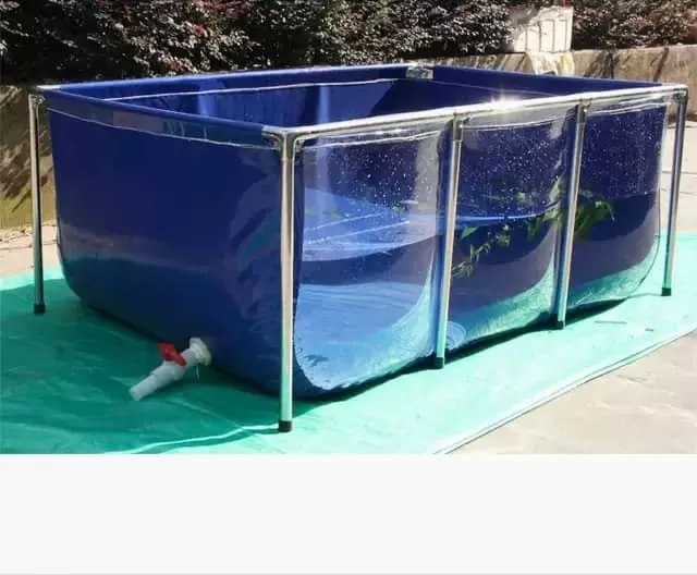 Mai Sơn Best Pools – Nhà hơi Lâu Đài, Đồ Chơi Bơm hơi