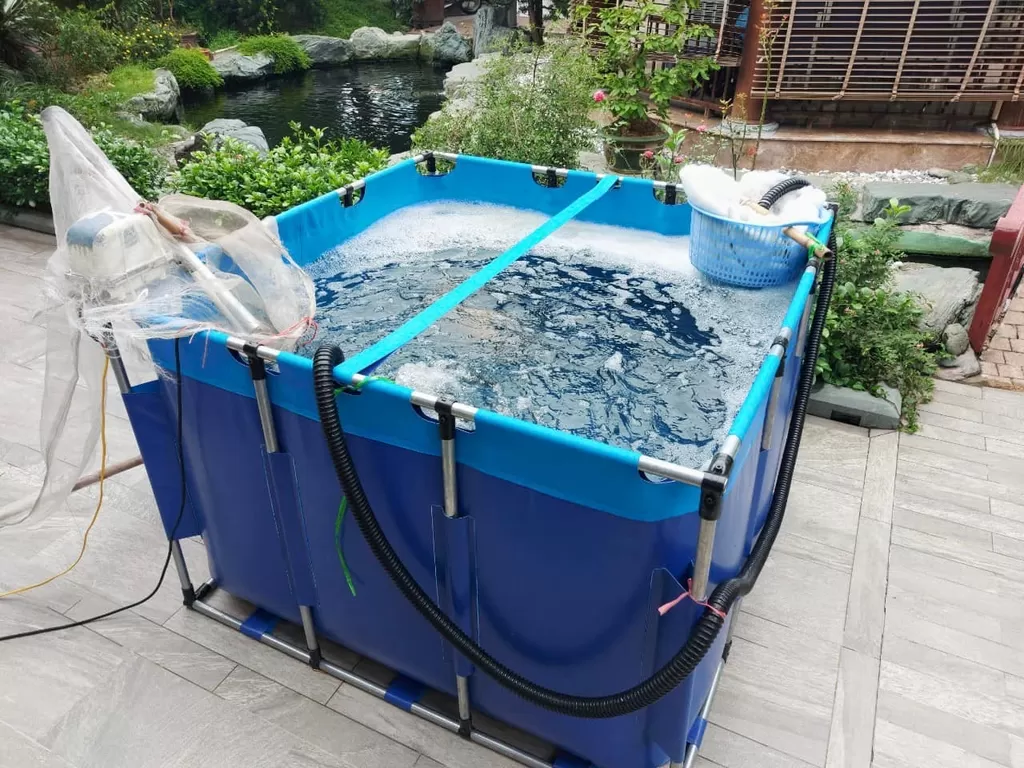 Mai Sơn Best Pools – Nhà hơi Lâu Đài, Đồ Chơi Bơm hơi