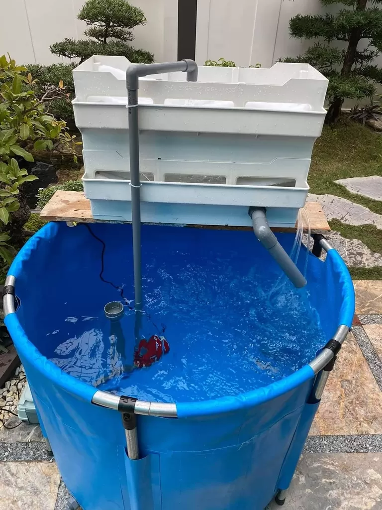 Mai Sơn Best Pools – Nhà hơi Lâu Đài, Đồ Chơi Bơm hơi