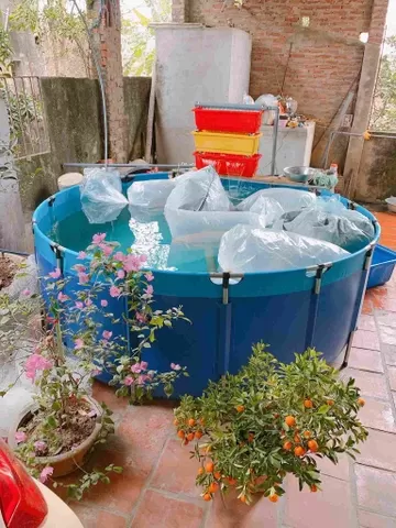 Mai Sơn Best Pools – Nhà hơi Lâu Đài, Đồ Chơi Bơm hơi