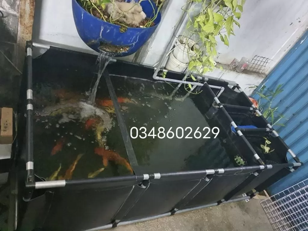 Mai Sơn Best Pools – Nhà hơi Lâu Đài, Đồ Chơi Bơm hơi