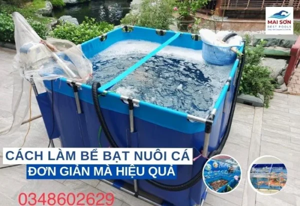 cách làm bể bạt nuôi cá