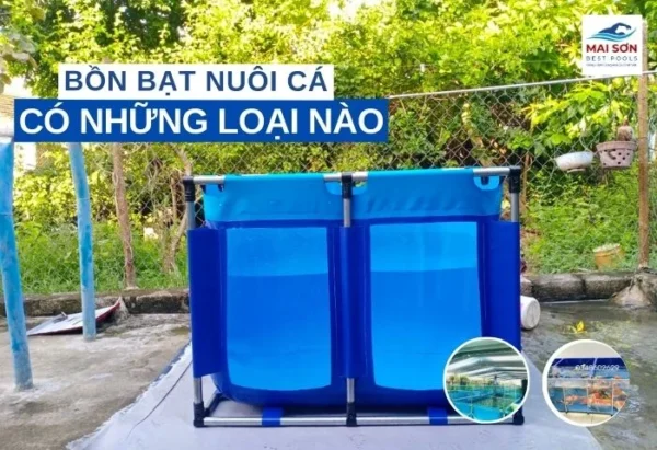 Bon-bat-nuoi-ca