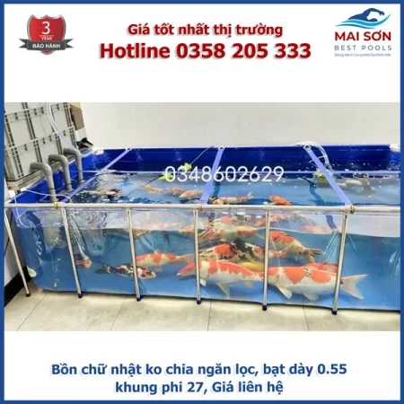 Bồn Bạt Nuôi Cá Koi có ngăn Lọc Mai Sơn Best Pools.