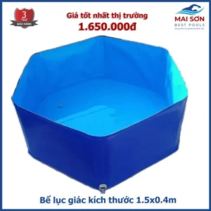 Bể Nuôi Cá Lục Giác không có ngăn lọc.