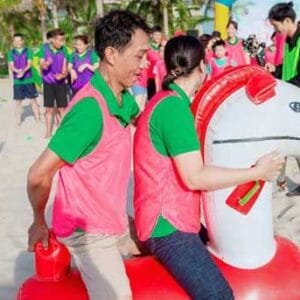 do choi bom hoi ngua hoi4