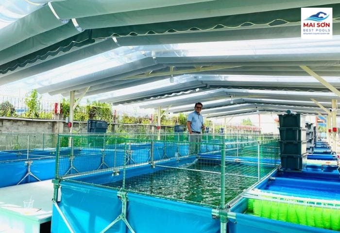 Mai Sơn Best Pools – Nhà hơi Lâu Đài, Đồ Chơi Bơm hơi