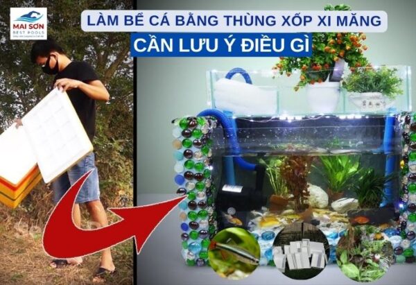 làm bể cá bằng thùng xốp xi măng