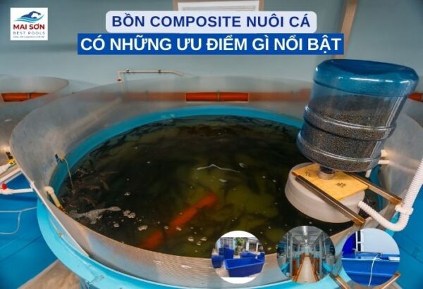 Bồn Composite Nuôi Cá
