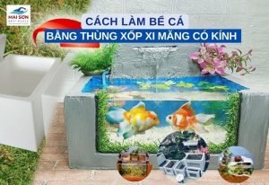 Cách Làm Bể Cá Bằng Thùng Xốp Xi Măng Có Kính