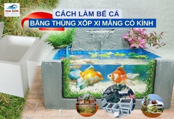 Làm Bể Cá Bằng Thùng Xốp Xi Măng Có Kính