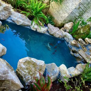 Bồn bạt nuôi cá chữ nhật không chia ngăn lọc KT 3x1.5x0.7m