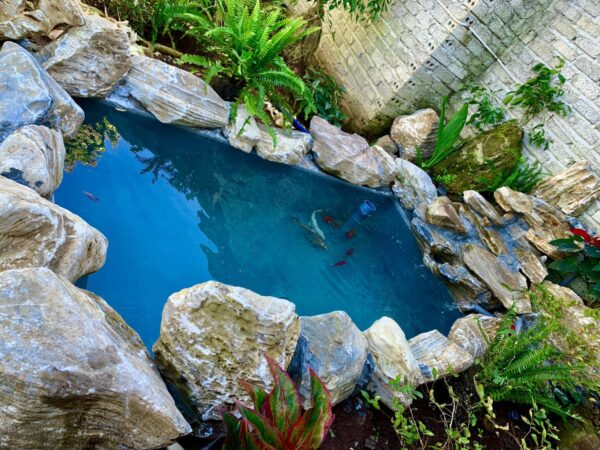 Bồn bạt nuôi cá chữ nhật không chia ngăn lọc KT 3x1.5x0.7m