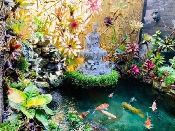 Huong dan thiet ke ho ca koi ban ve chi tiet va mau ho ca koi dep cho gia dinh