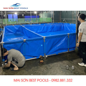 Bể Bạt Nuôi Cá Ở Quảng Ninh: Cá cảnh, cá Koi, cá giống,...