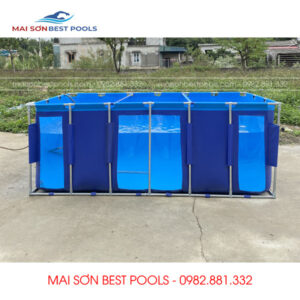 Bể Bạt Nuôi Cá Koi tại Thanh Hóa