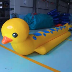 vit-bom-hoi - mau -2