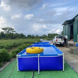 be-boi-lap-ghep-tai-ha-noi