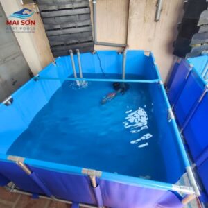 uu-va-nhuoc-diem-cua-nuoi-ca-trong-be-bat-so-voi-phuong-phap-nuoi-truyen-thong (10)