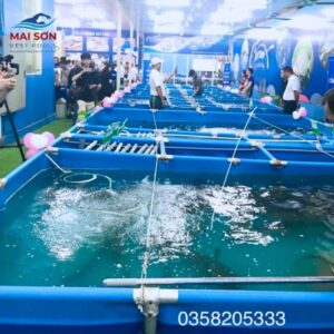 uu-va-nhuoc-diem-cua-nuoi-ca-trong-be-bat-so-voi-phuong-phap-nuoi-truyen-thong (6)