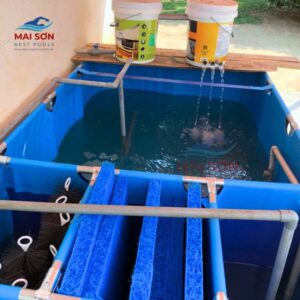 10-cach-thiet-ke-be-bat-nuoi-ca-koi-ket-hop-san-vuon-doc-dao-dep-mat (7)