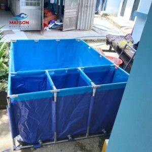 tim-hieu-chi-tiet-ve-bat-lam-be-nuoi-ca (2)