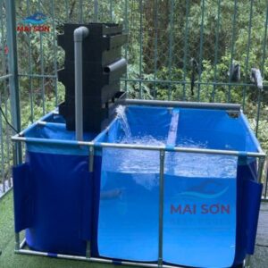 be-bat-nuoi-ca-co-dat-khong (3)