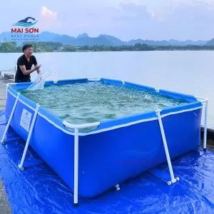Bể bơi lắp ghép khung kim loại tại Hải Phòng 4 be-boi-di-dong-cho-tre-em-lua-chon-an-toan-va-tien-loi-cho-gia-dinh (5)