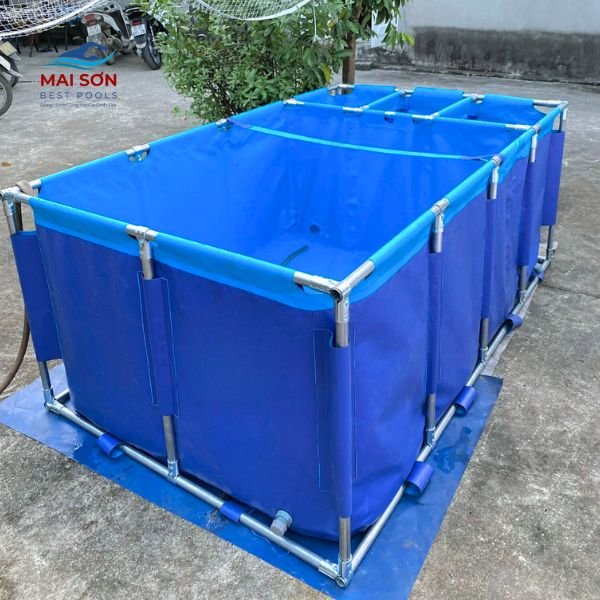 Kinh nghiệm chọn bể bạt nuôi cá phù hợp 7 kinh-nghiem-chon-be-bat-nuoi-ca-phu-hop-lua-chon-be-bat-dung-cach (6)