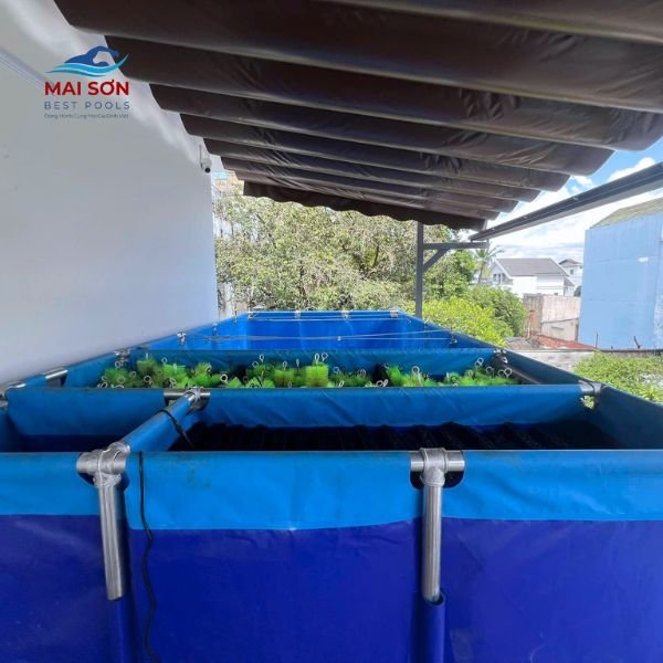 Kinh nghiệm chọn bể bạt nuôi cá phù hợp 9 kinh-nghiem-chon-be-bat-nuoi-ca-phu-hop-lua-chon-be-bat-dung-cach (8)