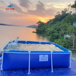 Bể bơi lắp ghép gia đình Mai Sơn