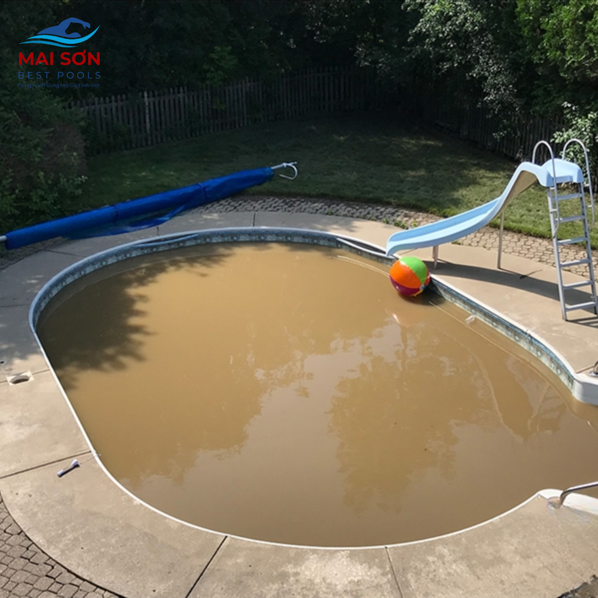 Nước bể bơi bị đổi màu thành màu nâu đỏ