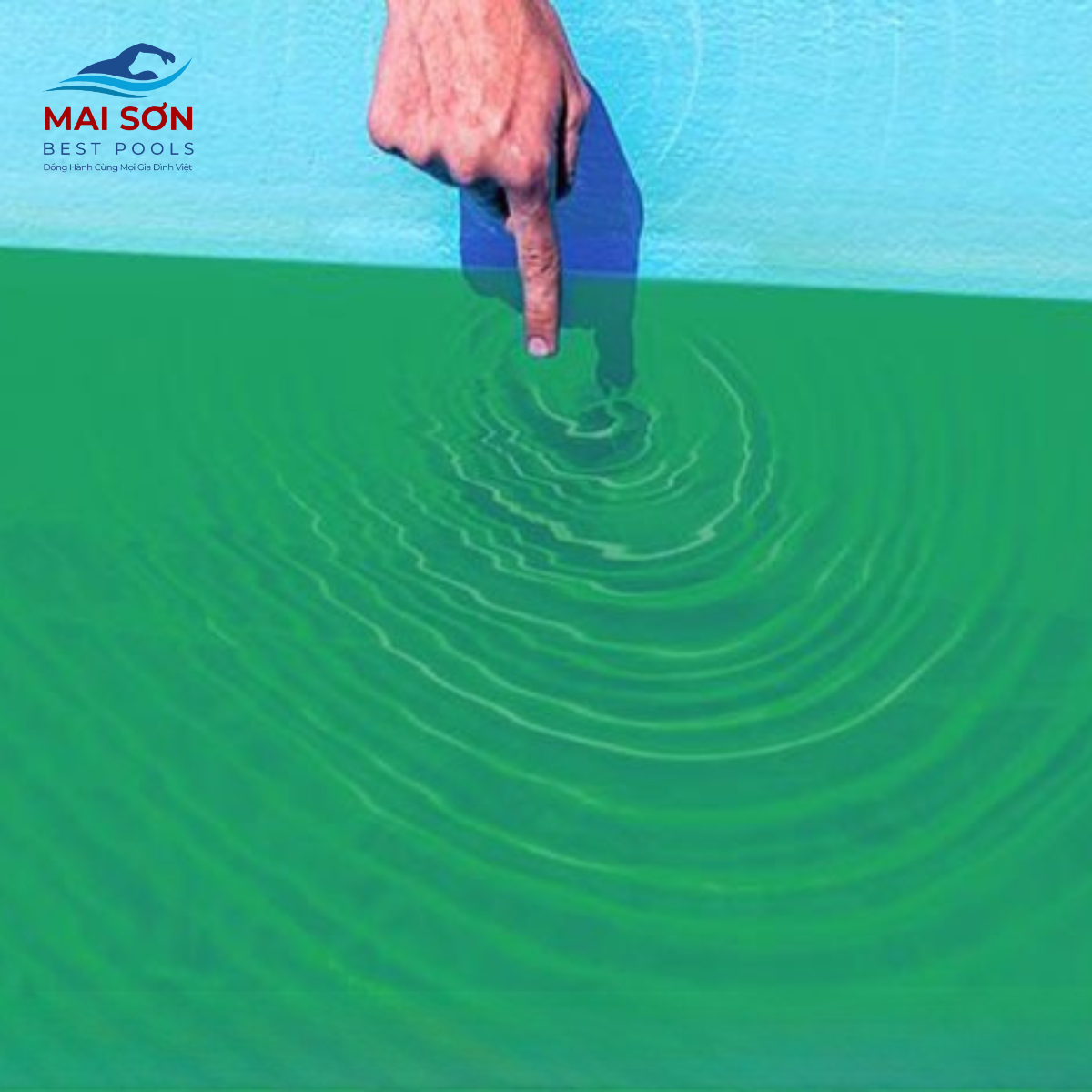 Nước bể bơi bị đổi màu thành màu xanh lá
