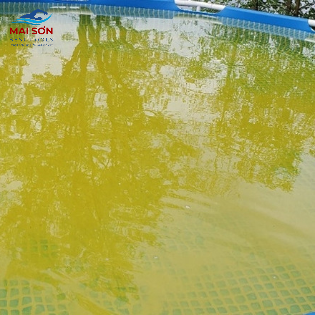 Nước bể bơi bị đổi màu thành màu vàng